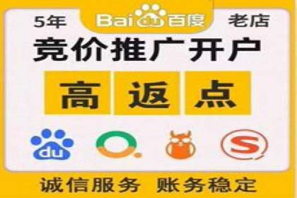 某电商企业如何通过百度竞价广告提升销售额